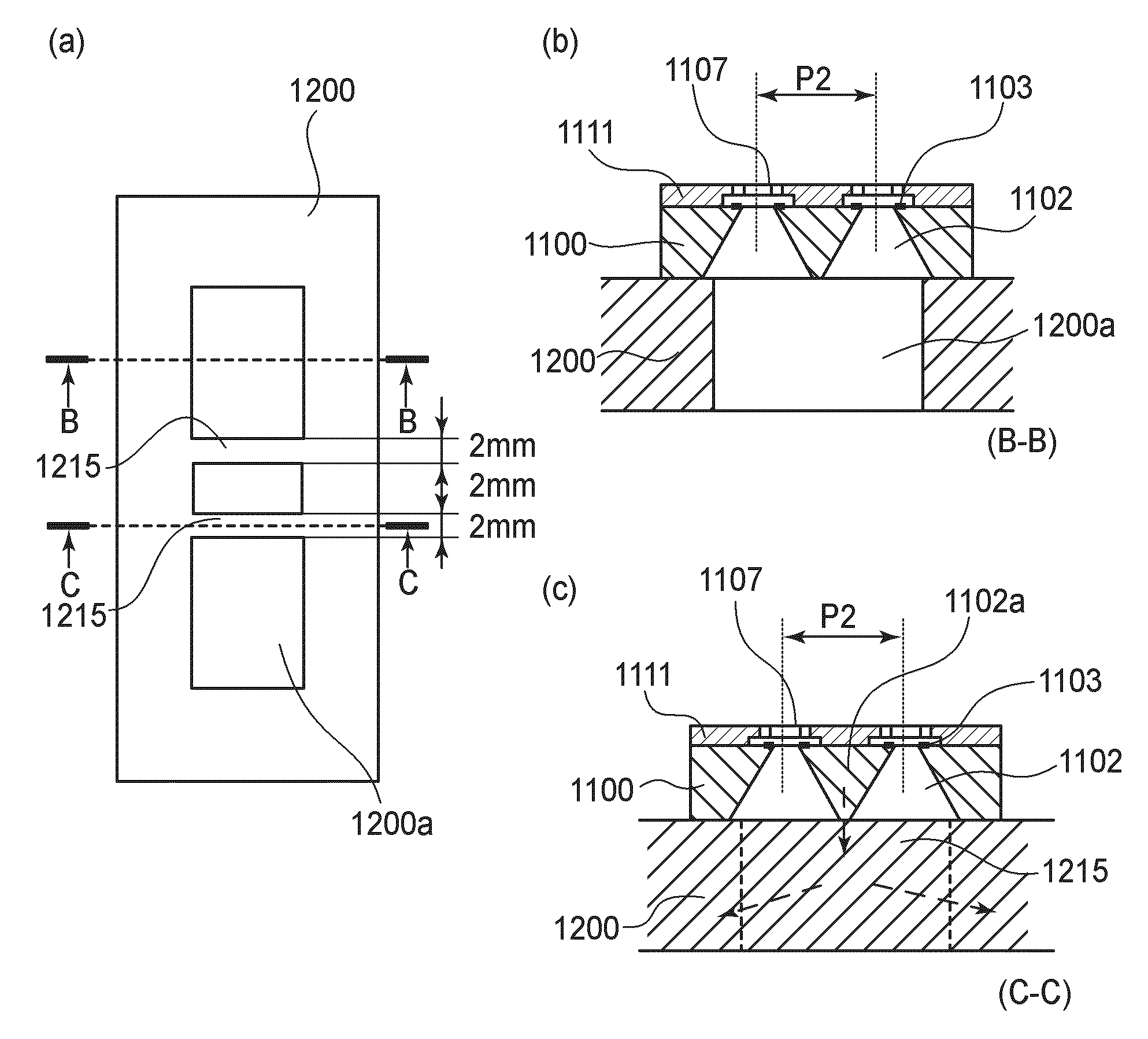 Ink jet recording head and recording apparatus