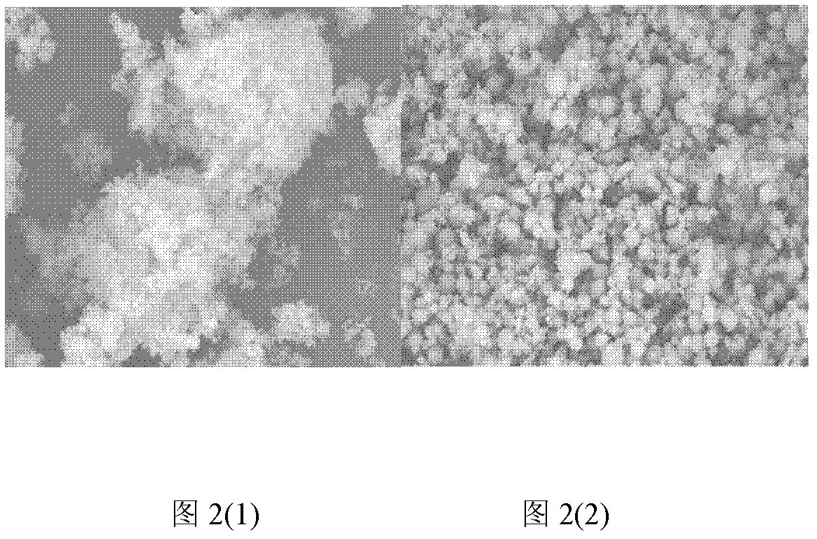 Method for coating micro/nano-metal powder by chemical vapor deposition