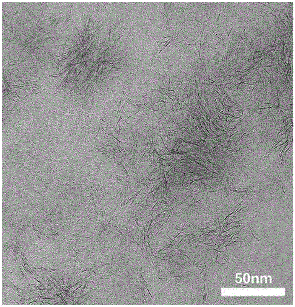 Method for synthesizing ultrathin molybdenum disulfide nanocrystals