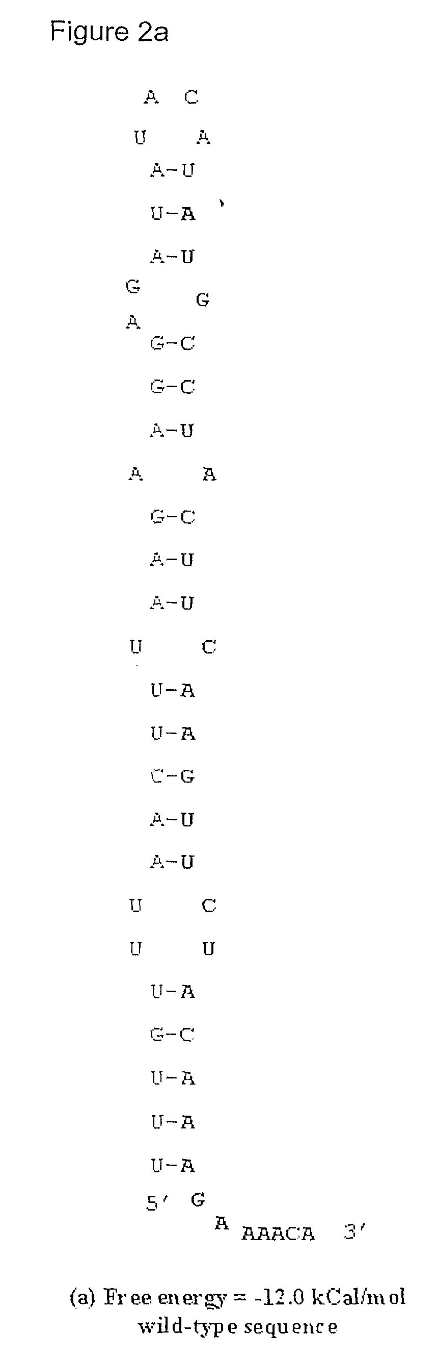 Method for Achieving High-Level Expression of Recombinant Human Interleukin-2 Upon Destabilization of the Rna Secondary Structure