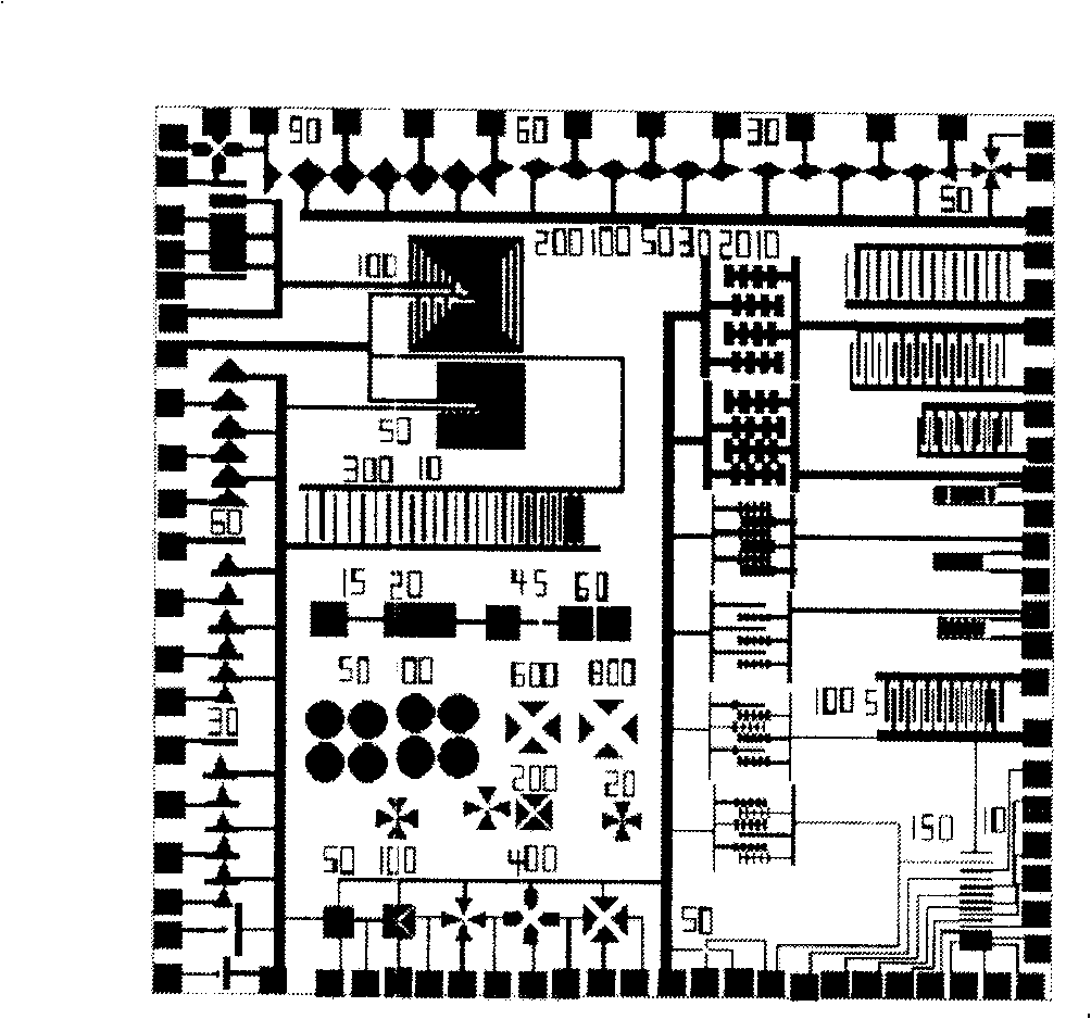 Multifunctional dielectrophoresis operated micro-electrode on-chip system and its manufacture method