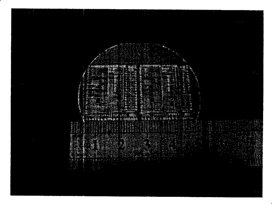 Multifunctional dielectrophoresis operated micro-electrode on-chip system and its manufacture method