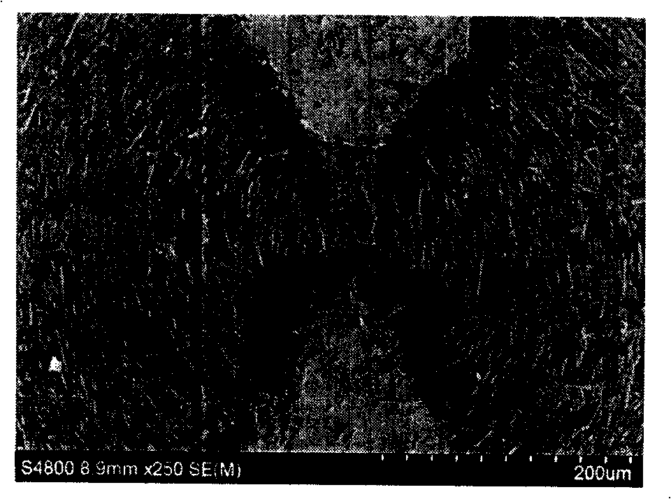 Multifunctional dielectrophoresis operated micro-electrode on-chip system and its manufacture method