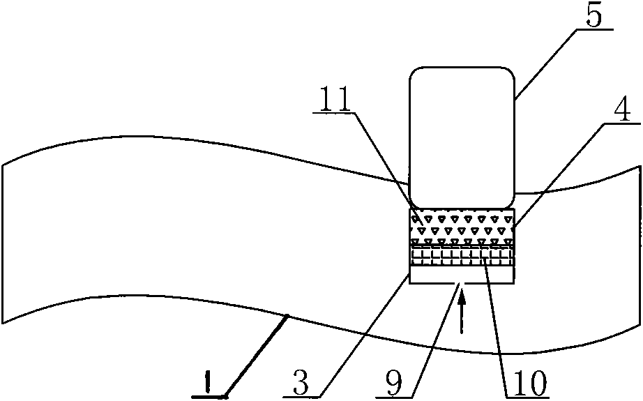 Novel water purifying plant and water purifying method