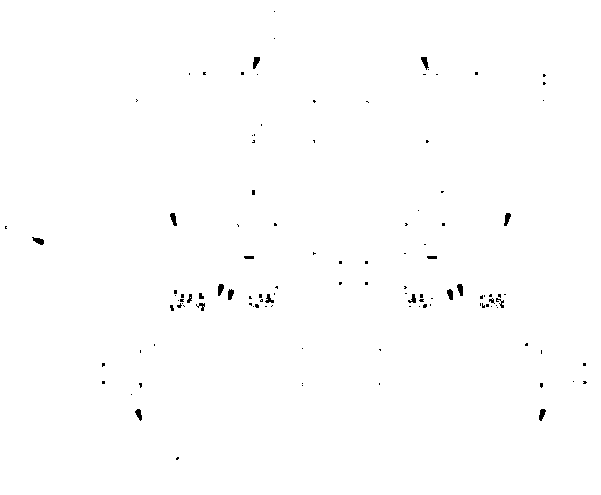 Piezoelectric energy conversion and collection device using bridge vibration