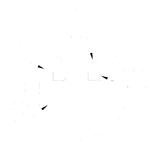 Piezoelectric energy conversion and collection device using bridge vibration