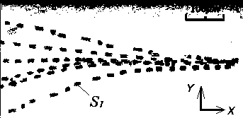 Device and method for measuring overall bulk modulus of cells based on ultrasonic standing wave sound field