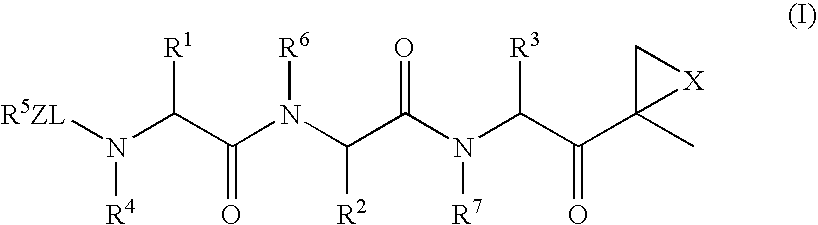 Compounds for Enzyme Inhibition