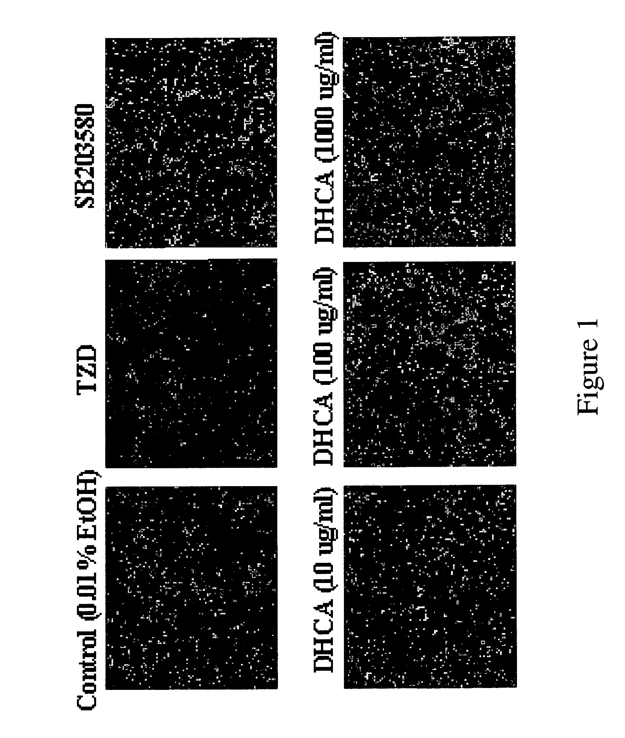 Composition comprising the alcohol compound isolated from the extract of cucurbitaceae family plant having anti-adipogenic and anti-obesity activity