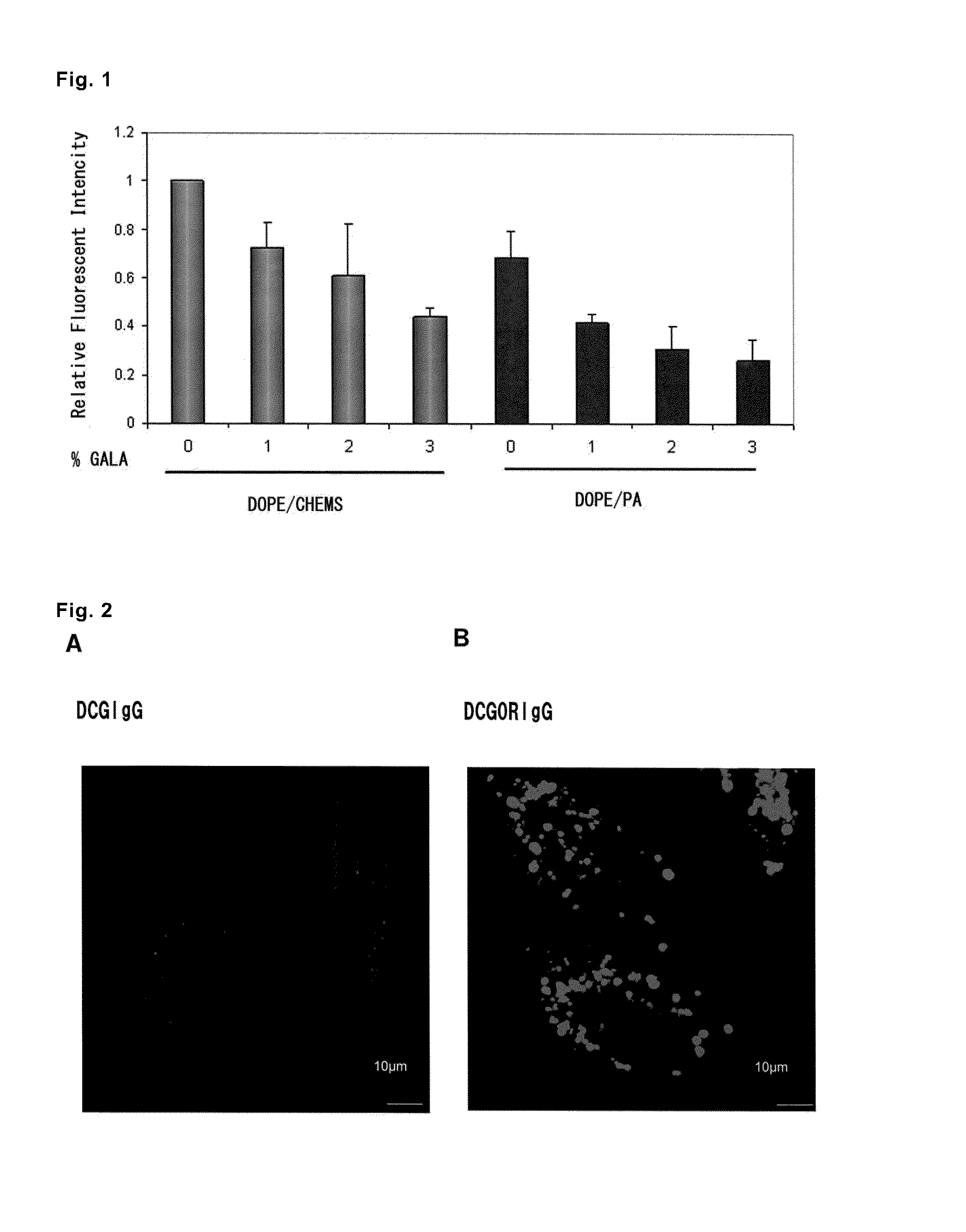 Carrier for intracellular delivery of functional protein