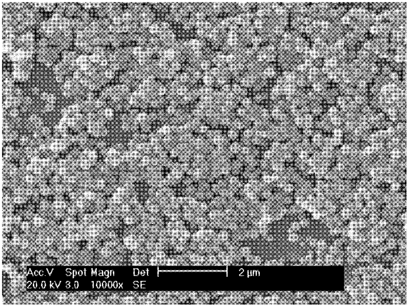 Method for detecting allergen-specific antibody in serum