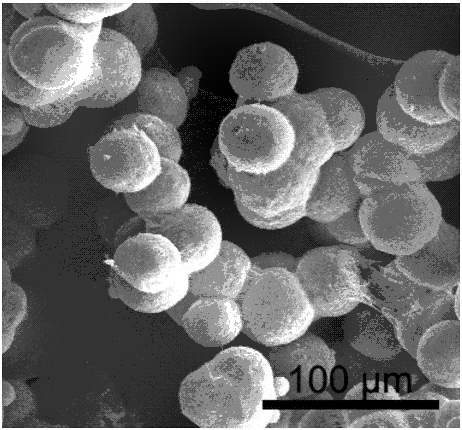 Polyformaldehyde resin powder for selective laser sintering and preparation method thereof