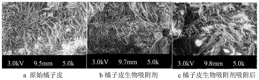 Method of using ammonium oxalate to prepare biosorbent for treating salt-based block green dye wastewater