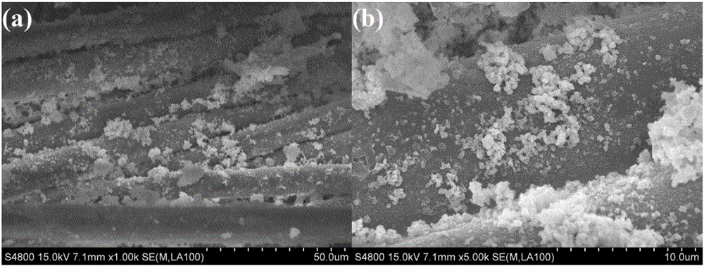 Method for preparing super-hydrophobic fabric@nickel and cobalt double hydroxide composite material and its application