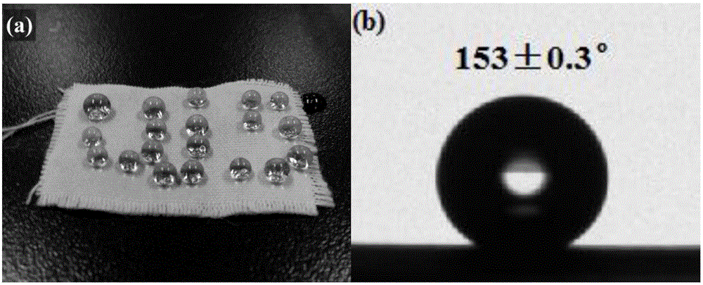 Method for preparing super-hydrophobic fabric@nickel and cobalt double hydroxide composite material and its application