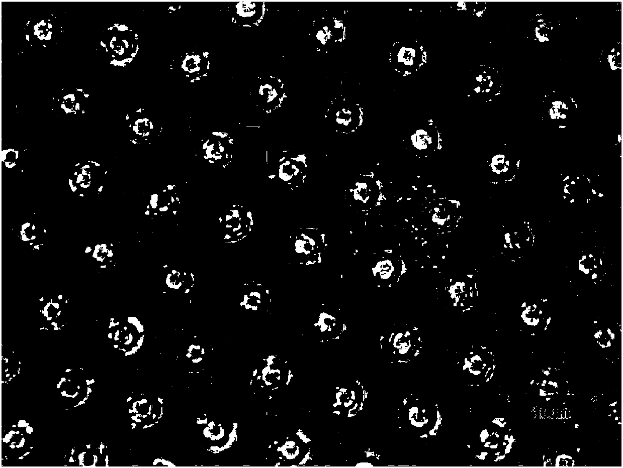 Preparation method of perovskite micron-ring array