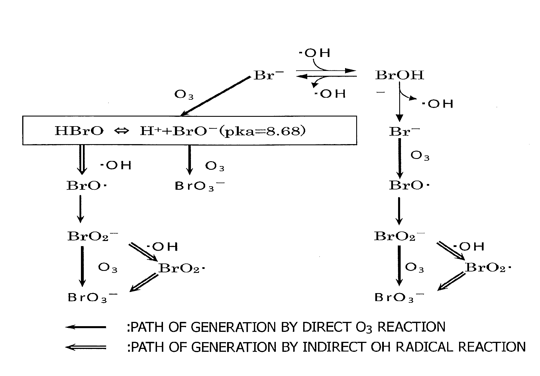 Bromate ion measurement method