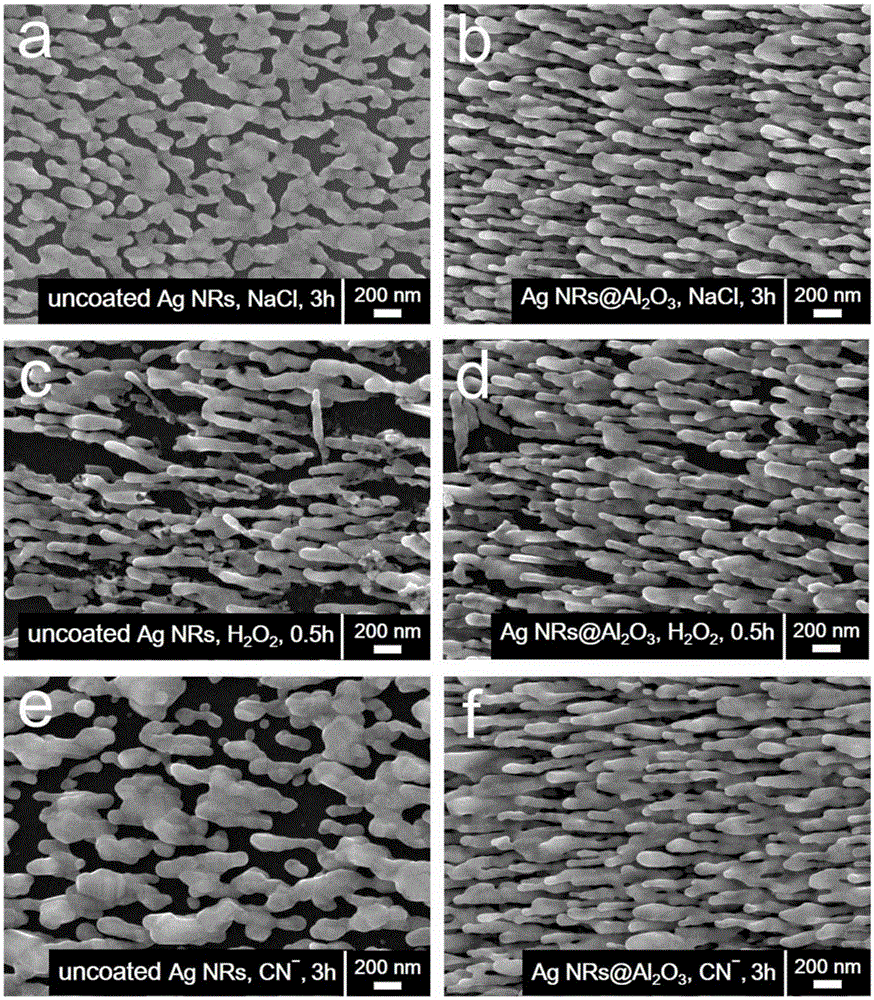 Surface-enhanced Raman scattering substrate with pin holes in its surface and preparation method