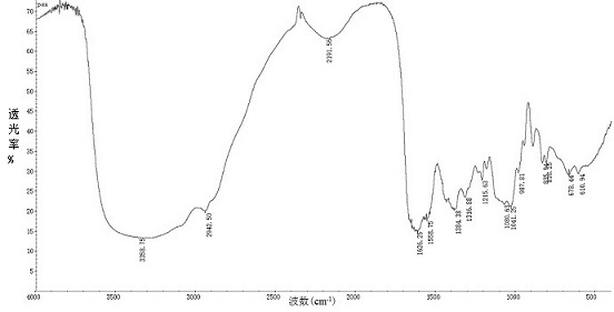 Method for producing polysialic acid by using fermentation process, and extraction and refining method for polysialic acid