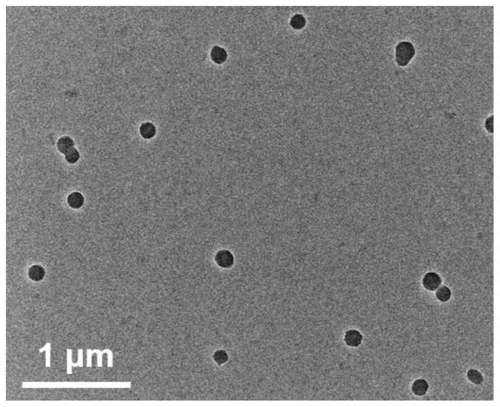 NO-loaded supramolecular polypeptide nano-drug as well as preparation method and application thereof