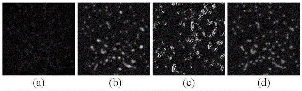 Sample block-based image target counting method