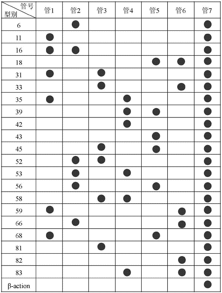 Novel kit and method for typing 21 human papilloma virus subtypes