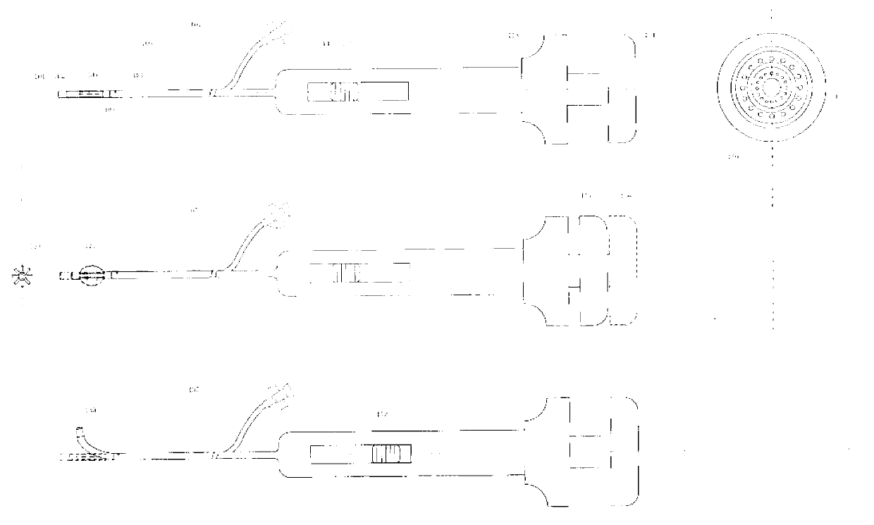 Catheter and device for nerve ablation in cavity-passing and wall-penetrating mode and method for nerve ablation