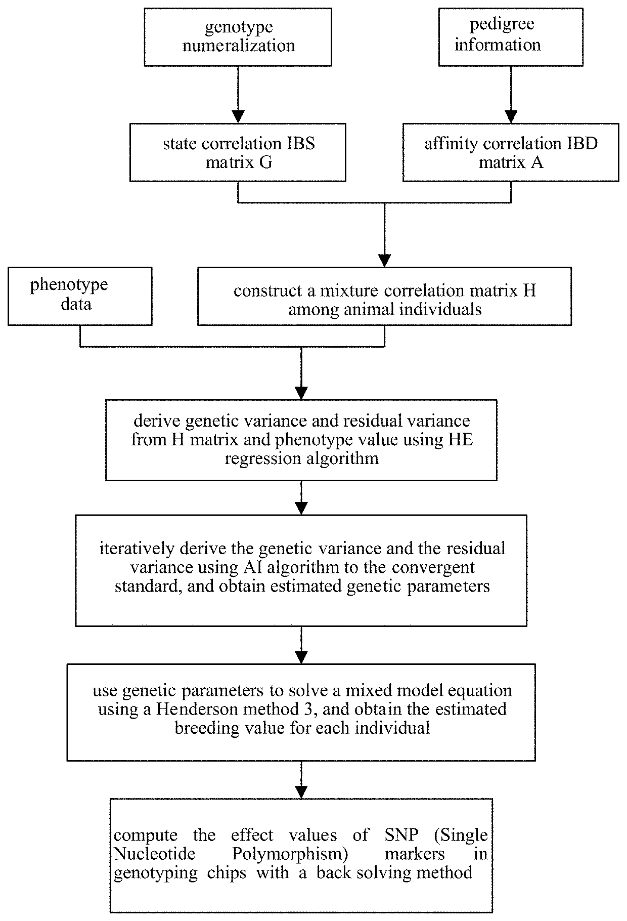 Fast and stable genomic breeding value evaluating method for animal individuals