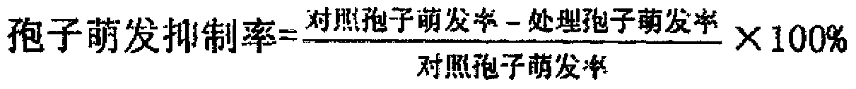 Natural bactericide for preventing and curing nursery stock damping-off and preparation method thereof