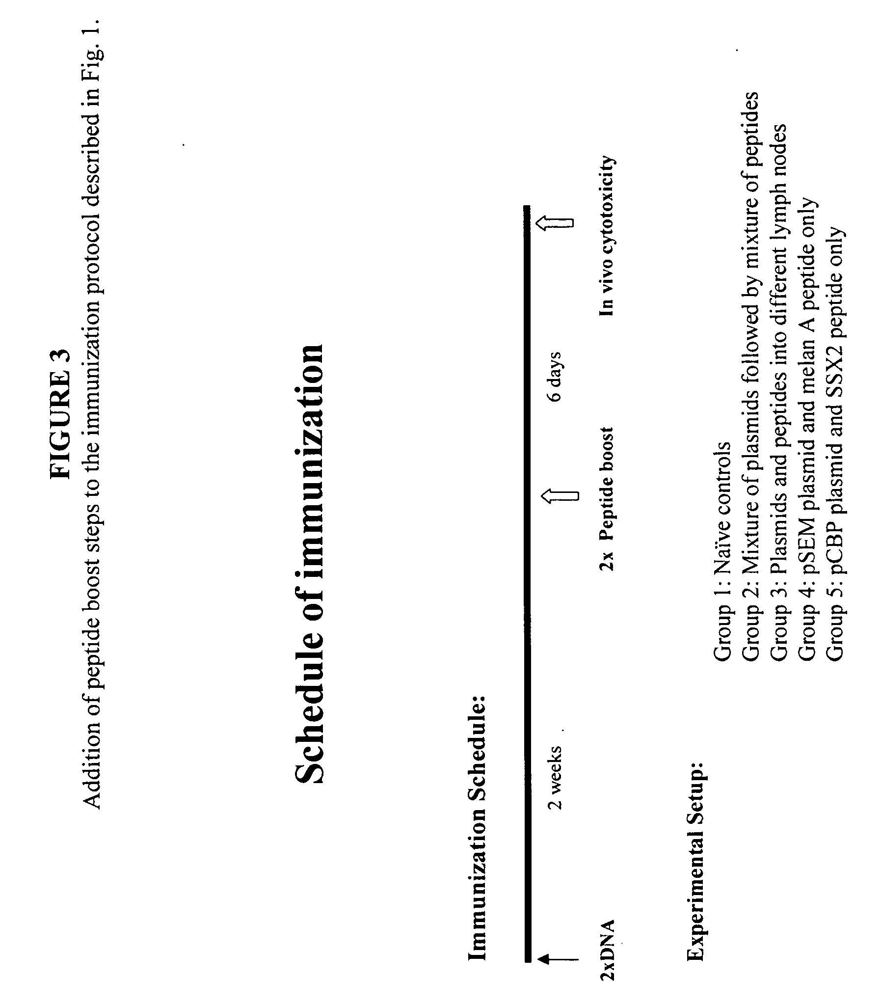 Combinations of tumor-associated antigens in compositions for various types of cancers