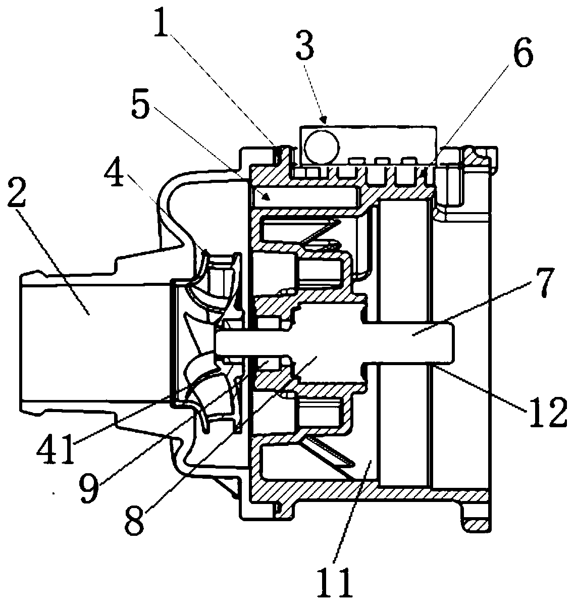 Automobile electronic water pump and automobile