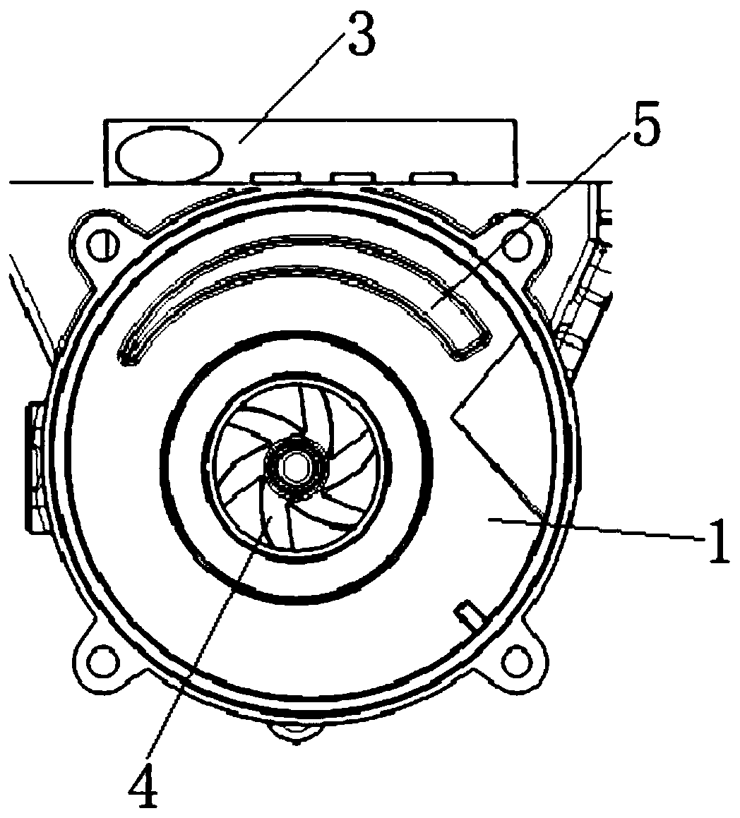 Automobile electronic water pump and automobile