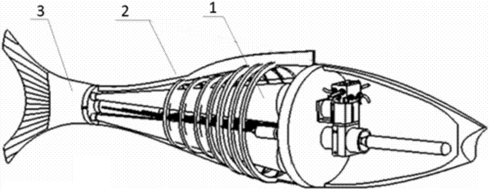 Variable-stiffness flexible bionic fish model based on internal fluid pressure adjustment