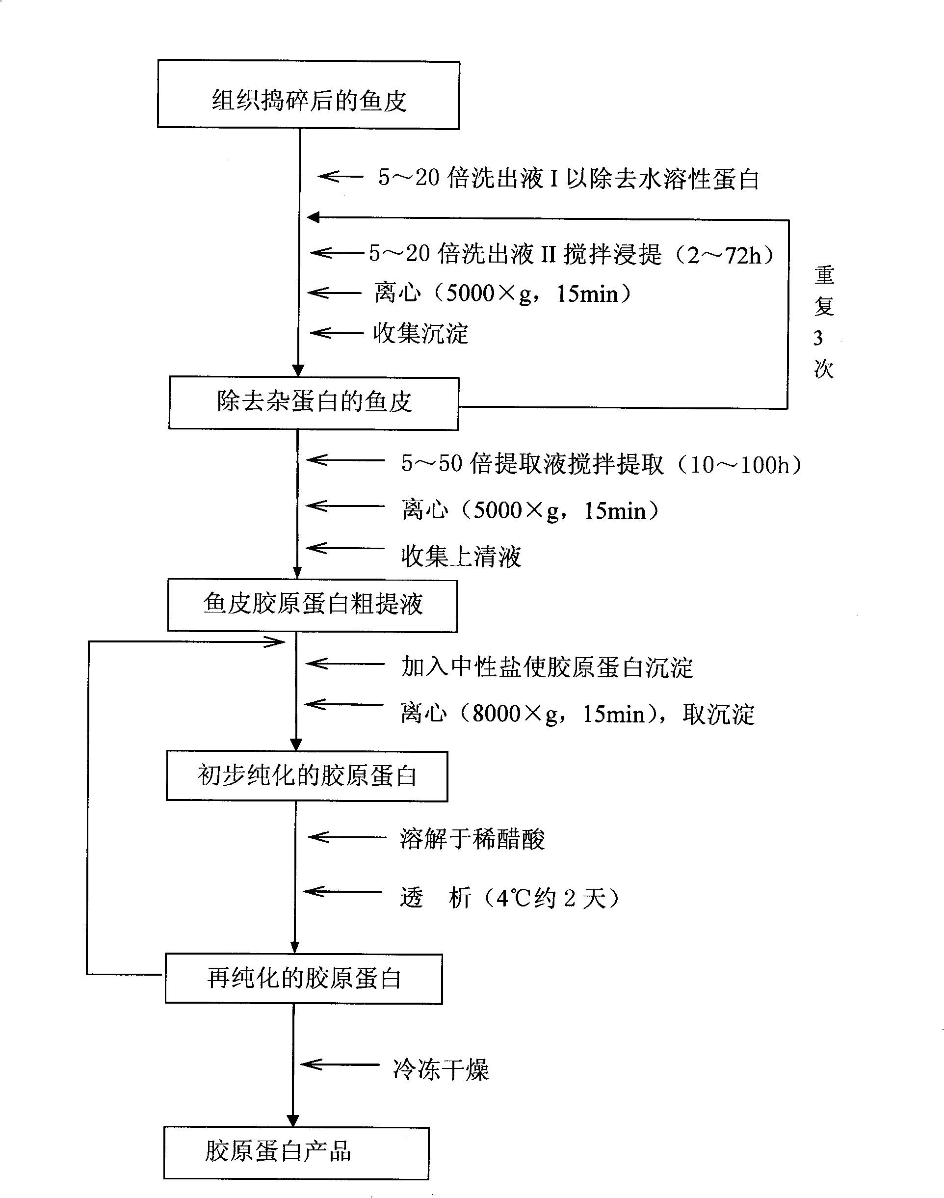 Ocean cephalopod skin glue collagen and preparation method thereof