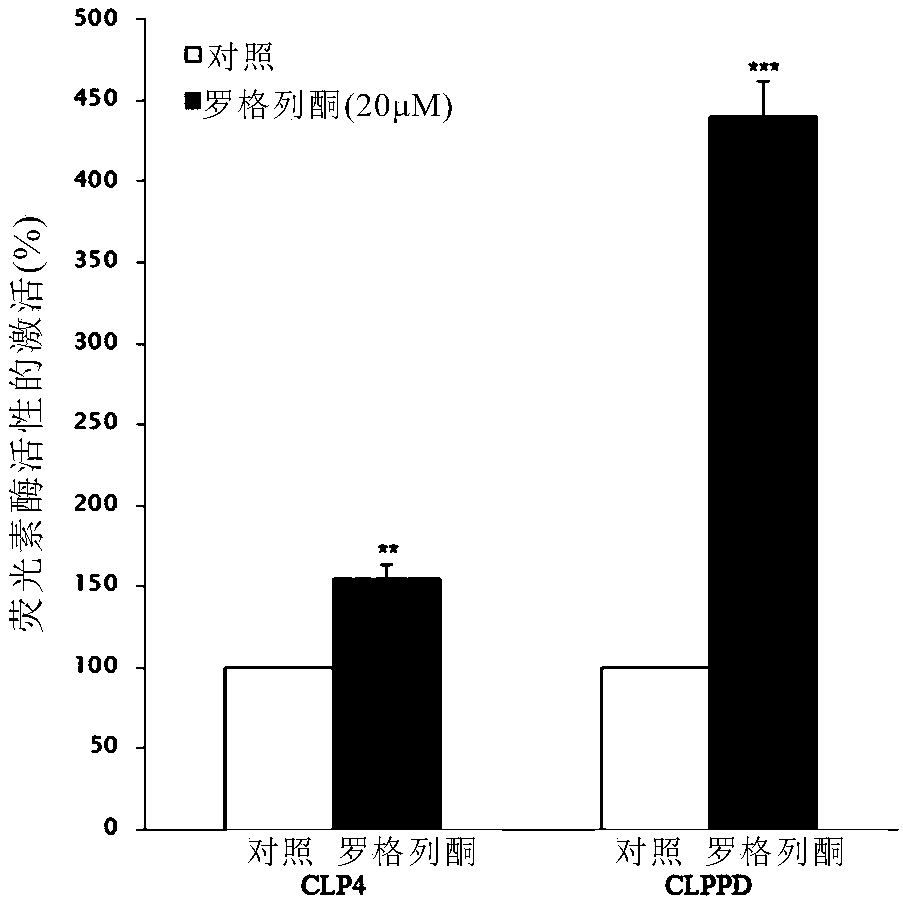 Construction and application of medicine screening model on the basis of PPAR (Peroxisome proliferator-activated receptors) gamma signal channel