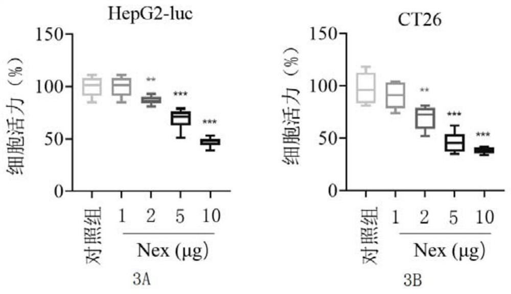 Anti-tumor engineering exosome, preparation method and application