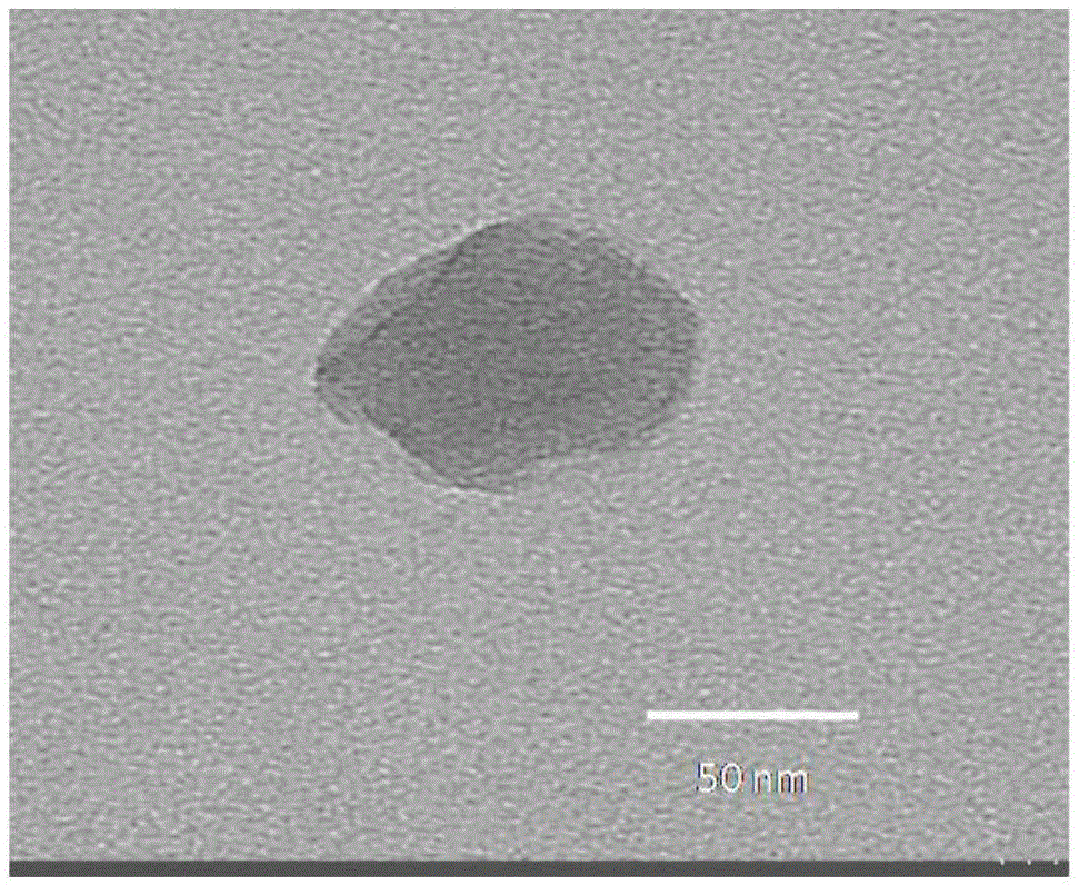 Tumor naked eye visible nanometer tracer agent and preparation method thereof