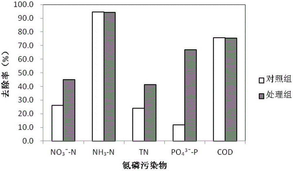 Photoelectric artificial wetland and application thereof