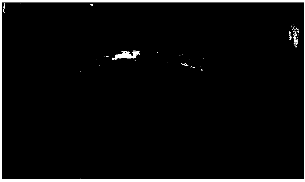 Method for quick propagation by means of hemp stem tip tissue culture