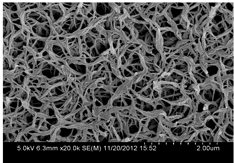 Preparation method of aromatic polymer porous membrane