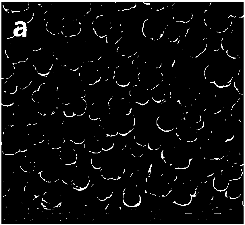 Graphene-containing metal-based composite plating solution to improve the quality of brush coating by utilizing hydrogen absorption effect