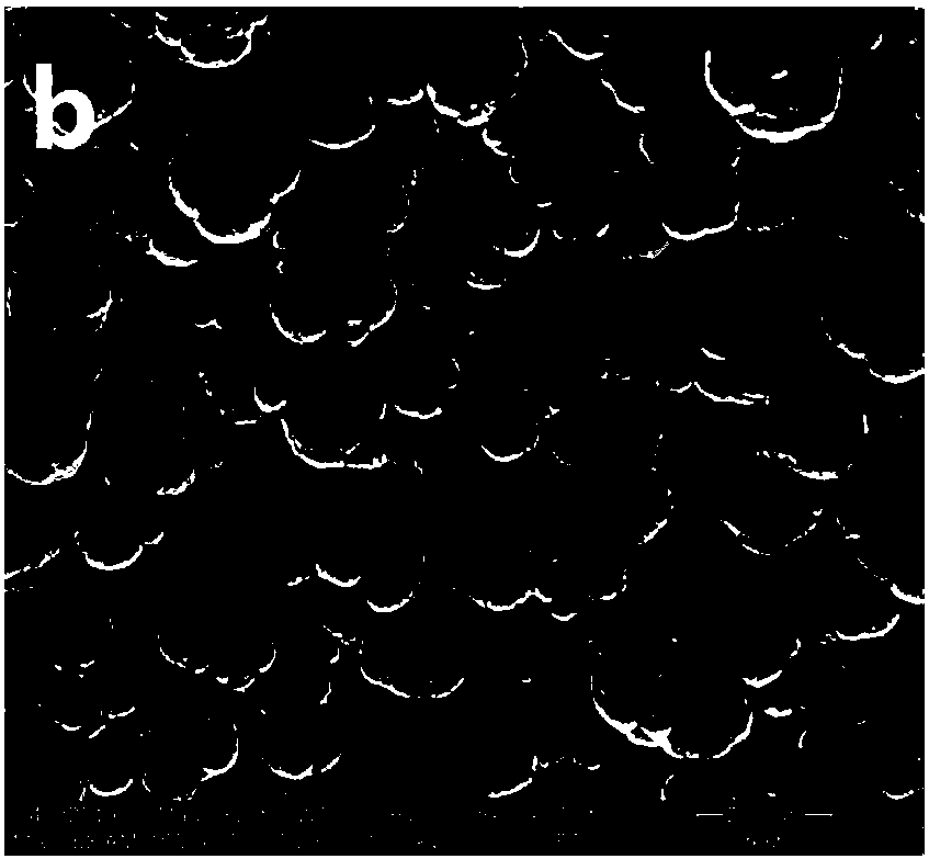 Graphene-containing metal-based composite plating solution to improve the quality of brush coating by utilizing hydrogen absorption effect