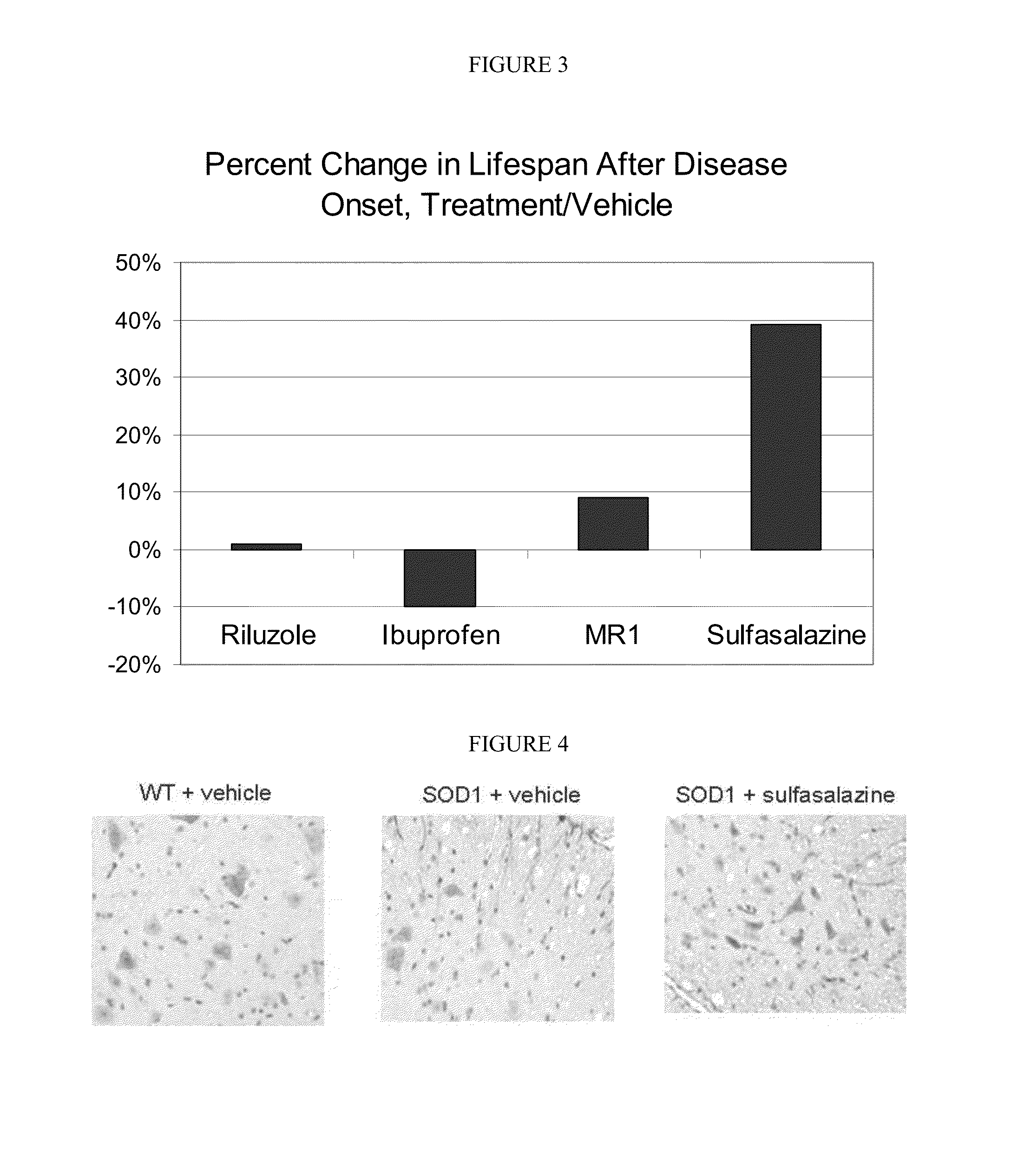 Compositions and Methods for the Treatment of Neurodegenerative and Other Diseases