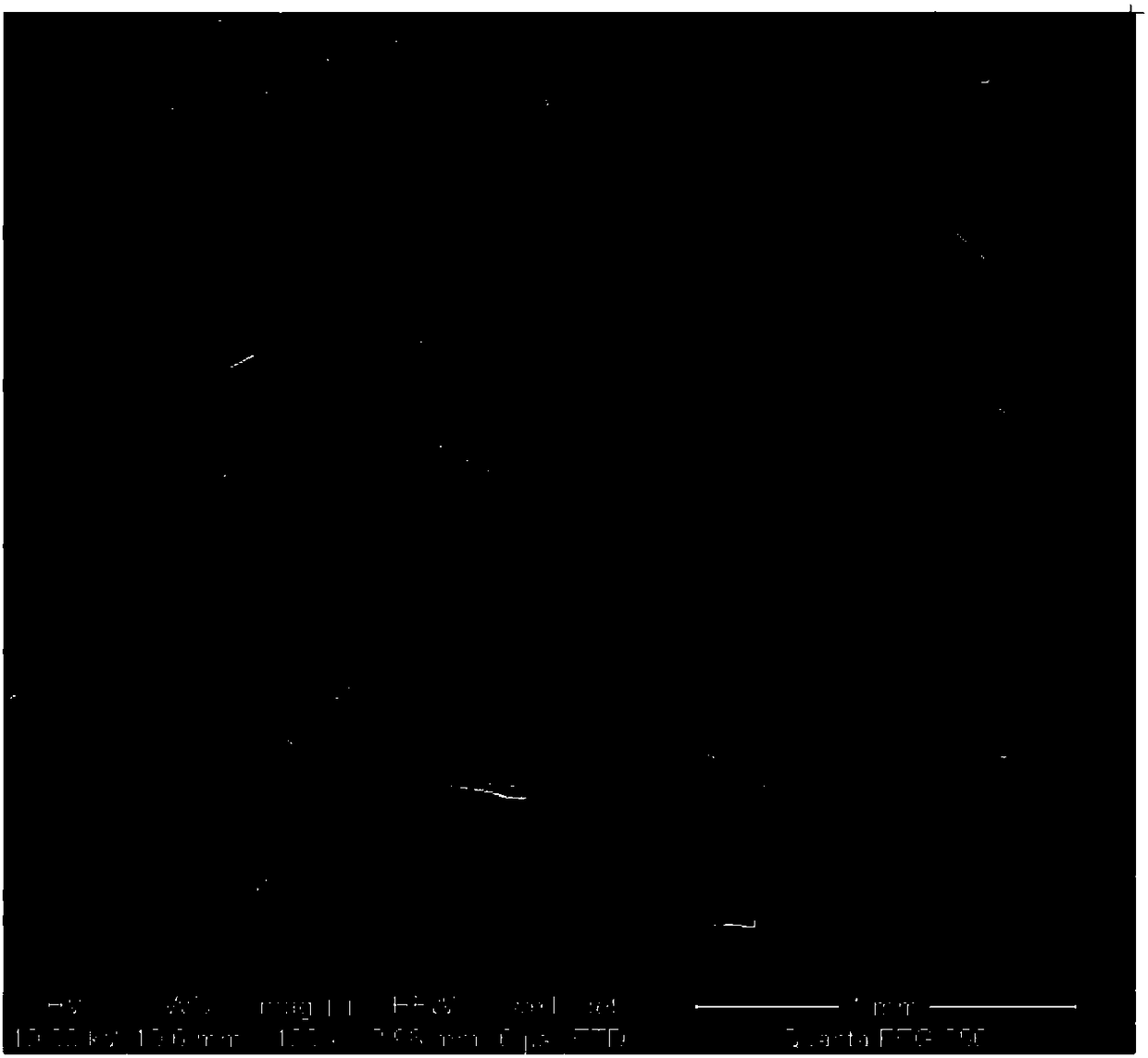 Short carbon fiber aluminum based composite material and preparation method thereof