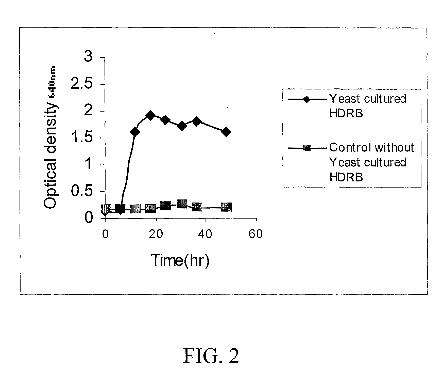 Yeast Fermentation of Rice Bran Extracts