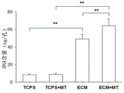 Application of melatonin in synergy with extracellular matrix biomaterials in the preparation of drugs to promote osteogenic differentiation of mesenchymal stem cells