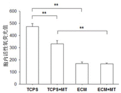 Application of melatonin in synergy with extracellular matrix biomaterials in the preparation of drugs to promote osteogenic differentiation of mesenchymal stem cells