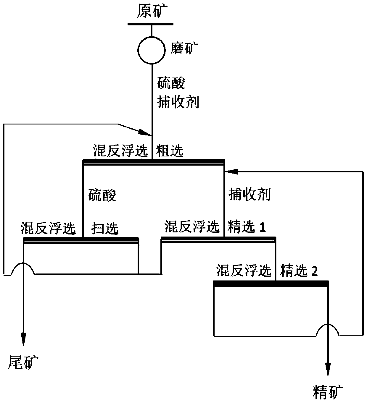 Collecting agent for magnesium siliceous phosphorite mixed reverse flotation, preparation method and beneficiation method