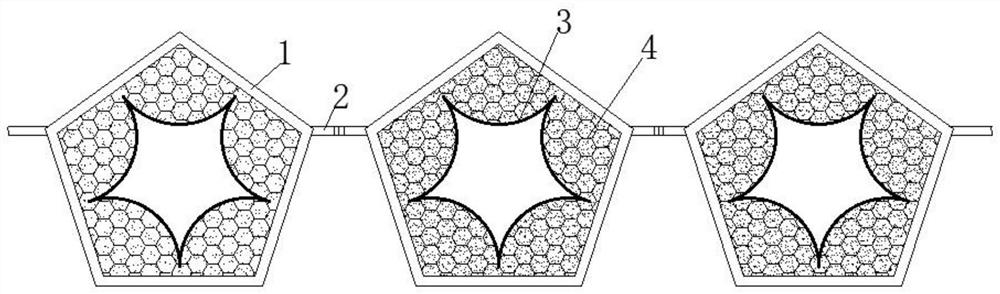 A kind of Clivia seed attachment structure and its desorption treatment method