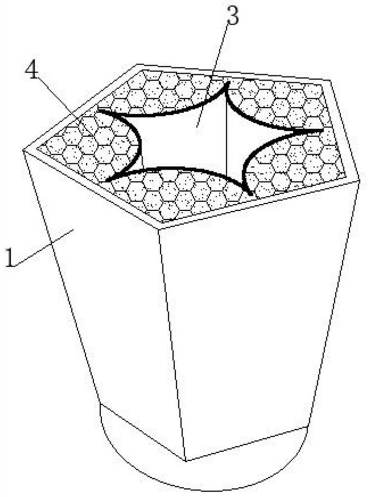 A kind of Clivia seed attachment structure and its desorption treatment method